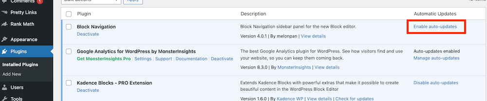 WordPress plugins auto-updates