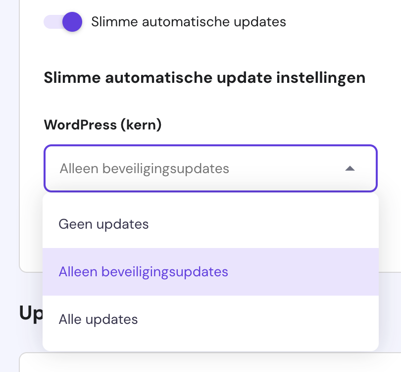Hostinger automatische updates.